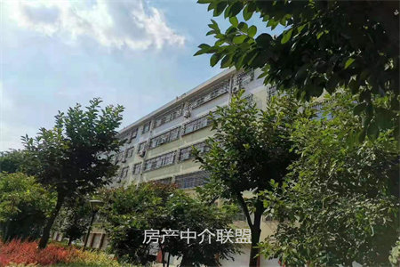荆河街道问天二期3室2厅2卫166平米